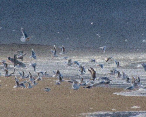 ascending in uncertain air